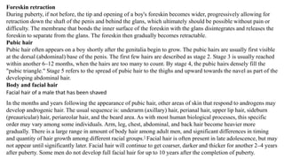 Foreskin retraction
During puberty, if not before, the tip and opening of a boy's foreskin becomes wider, progressively allowing for
retraction down the shaft of the penis and behind the glans, which ultimately should be possible without pain or
difficulty. The membrane that bonds the inner surface of the foreskin with the glans disintegrates and releases the
foreskin to separate from the glans. The foreskin then gradually becomes retractable.
Pubic hair
Pubic hair often appears on a boy shortly after the genitalia begin to grow. The pubic hairs are usually first visible
at the dorsal (abdominal) base of the penis. The first few hairs are described as stage 2. Stage 3 is usually reached
within another 6–12 months, when the hairs are too many to count. By stage 4, the pubic hairs densely fill the
"pubic triangle." Stage 5 refers to the spread of pubic hair to the thighs and upward towards the navel as part of the
developing abdominal hair.
Body and facial hair
Facial hair of a male that has been shaved
In the months and years following the appearance of pubic hair, other areas of skin that respond to androgens may
develop androgenic hair. The usual sequence is: underarm (axillary) hair, perianal hair, upper lip hair, sideburn
(preauricular) hair, periareolar hair, and the beard area. As with most human biological processes, this specific
order may vary among some individuals. Arm, leg, chest, abdominal, and back hair become heavier more
gradually. There is a large range in amount of body hair among adult men, and significant differences in timing
and quantity of hair growth among different racial groups.] Facial hair is often present in late adolescence, but may
not appear until significantly later. Facial hair will continue to get coarser, darker and thicker for another 2–4 years
after puberty. Some men do not develop full facial hair for up to 10 years after the completion of puberty.
 