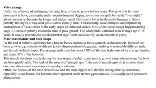 Voice change
Under the influence of androgens, the voice box, or larynx, grows in both sexes. This growth is far more
prominent in boys, causing the male voice to drop and deepen, sometimes abruptly but rarely "over night,"
about one octave, because the longer and thicker vocal folds have a lower fundamental frequency. Before
puberty, the larynx of boys and girls is about equally small. Occasionally, voice change is accompanied by
unsteadiness of vocalization in the early stages of untrained voices. Most of the voice change happens during
stage 3-4 of male puberty around the time of peak growth. Full adult pitch is attained at an average age of 15
years. It usually precedes the development of significant facial hair by several months to years.
Male musculature and body shape
By the end of puberty, adult men have heavier bones and nearly twice as much skeletal muscle. Some of the
bone growth (e.g. shoulder width and jaw) is disproportionately greater, resulting in noticeably different male
and female skeletal shapes. The average adult male has about 150% of the lean body mass of an average female,
and about 50% of the body fat.
This muscle develops mainly during the later stages of puberty, and muscle growth can continue even after boys
are biologically adult. The peak of the so-called "strength spurt", the rate of muscle growth, is attained about
one year after a male experiences his peak growth rate.
Often, the fat pads of the male breast tissue and the male nipples will develop during puberty; sometimes,
especially in one breast, this becomes more apparent and is termed gynecomastia. It is usually not a permanent
phenomenon.
 