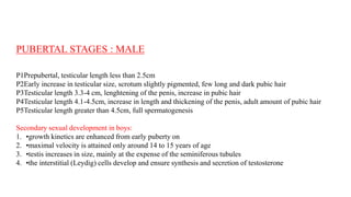 PUBERTAL STAGES : MALE
P1Prepubertal, testicular length less than 2.5cm
P2Early increase in testicular size, scrotum slightly pigmented, few long and dark pubic hair
P3Testicular length 3.3-4 cm, lenghtening of the penis, increase in pubic hair
P4Testicular length 4.1-4.5cm, increase in length and thickening of the penis, adult amount of pubic hair
P5Testicular length greater than 4.5cm, full spermatogenesis
Secondary sexual development in boys:
1. •growth kinetics are enhanced from early puberty on
2. •maximal velocity is attained only around 14 to 15 years of age
3. •testis increases in size, mainly at the expense of the seminiferous tubules
4. •the interstitial (Leydig) cells develop and ensure synthesis and secretion of testosterone
 