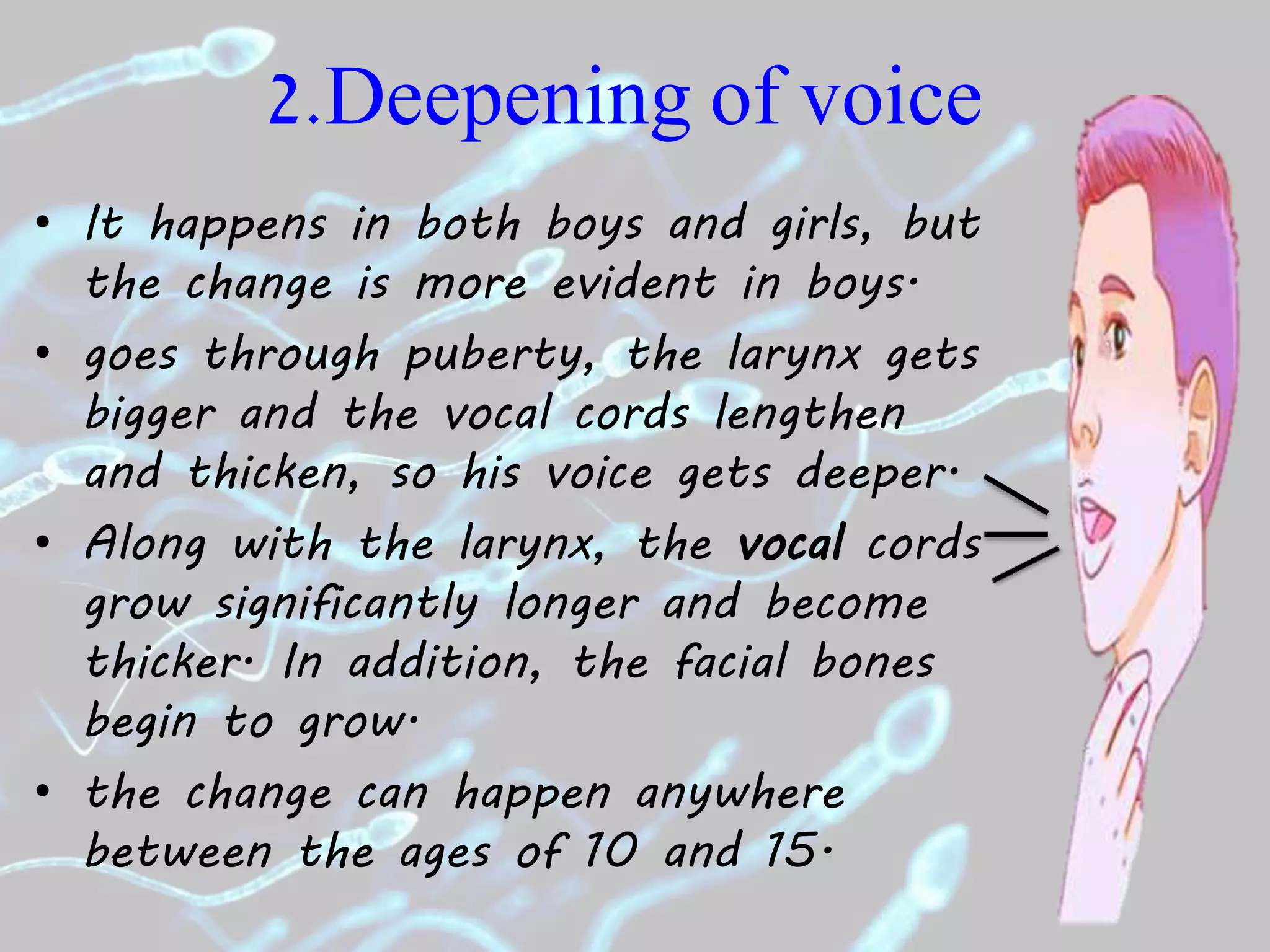 Puberty Boys PPSX