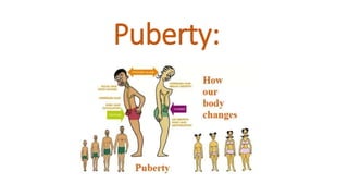 Puberty:
 