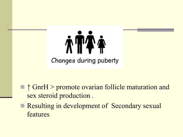 Puberty hormonal changes infographic