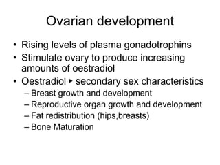 Ovarian development
• Rising levels of plasma gonadotrophins
• Stimulate ovary to produce increasing
amounts of oestradiol
• Oestradiol ► secondary sex characteristics
– Breast growth and development
– Reproductive organ growth and development
– Fat redistribution (hips,breasts)
– Bone Maturation
 