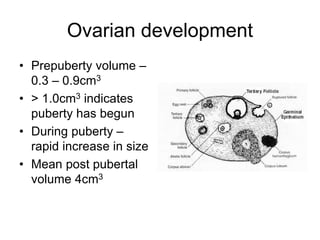 Ovarian development
• Prepuberty volume –
0.3 – 0.9cm3
• > 1.0cm3 indicates
puberty has begun
• During puberty –
rapid increase in size
• Mean post pubertal
volume 4cm3
 