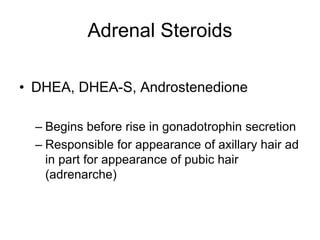 Adrenal Steroids
• DHEA, DHEA-S, Androstenedione
– Begins before rise in gonadotrophin secretion
– Responsible for appearance of axillary hair ad
in part for appearance of pubic hair
(adrenarche)
 