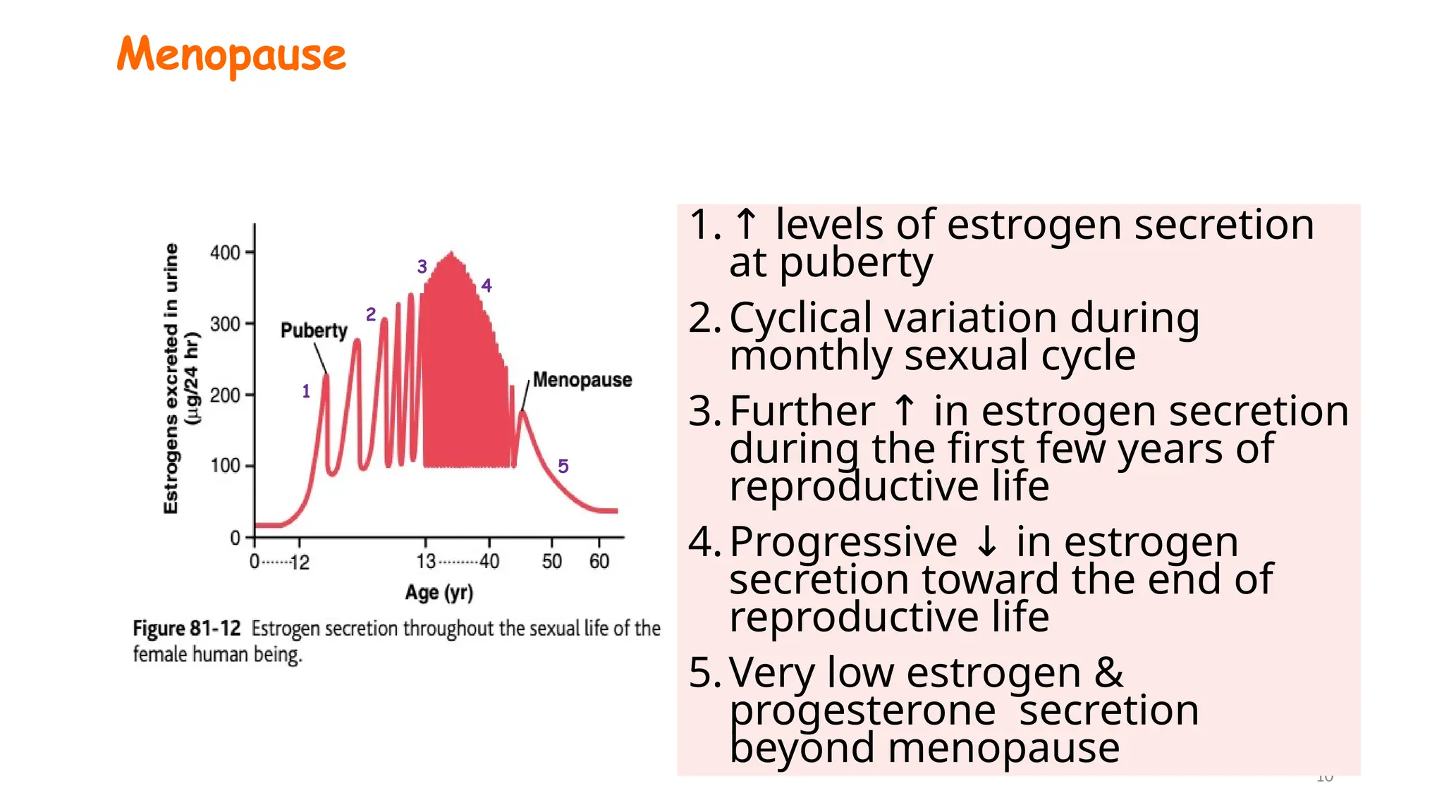 Puberty & Menopause.pptx hormonal changes during puberty and menopause ...