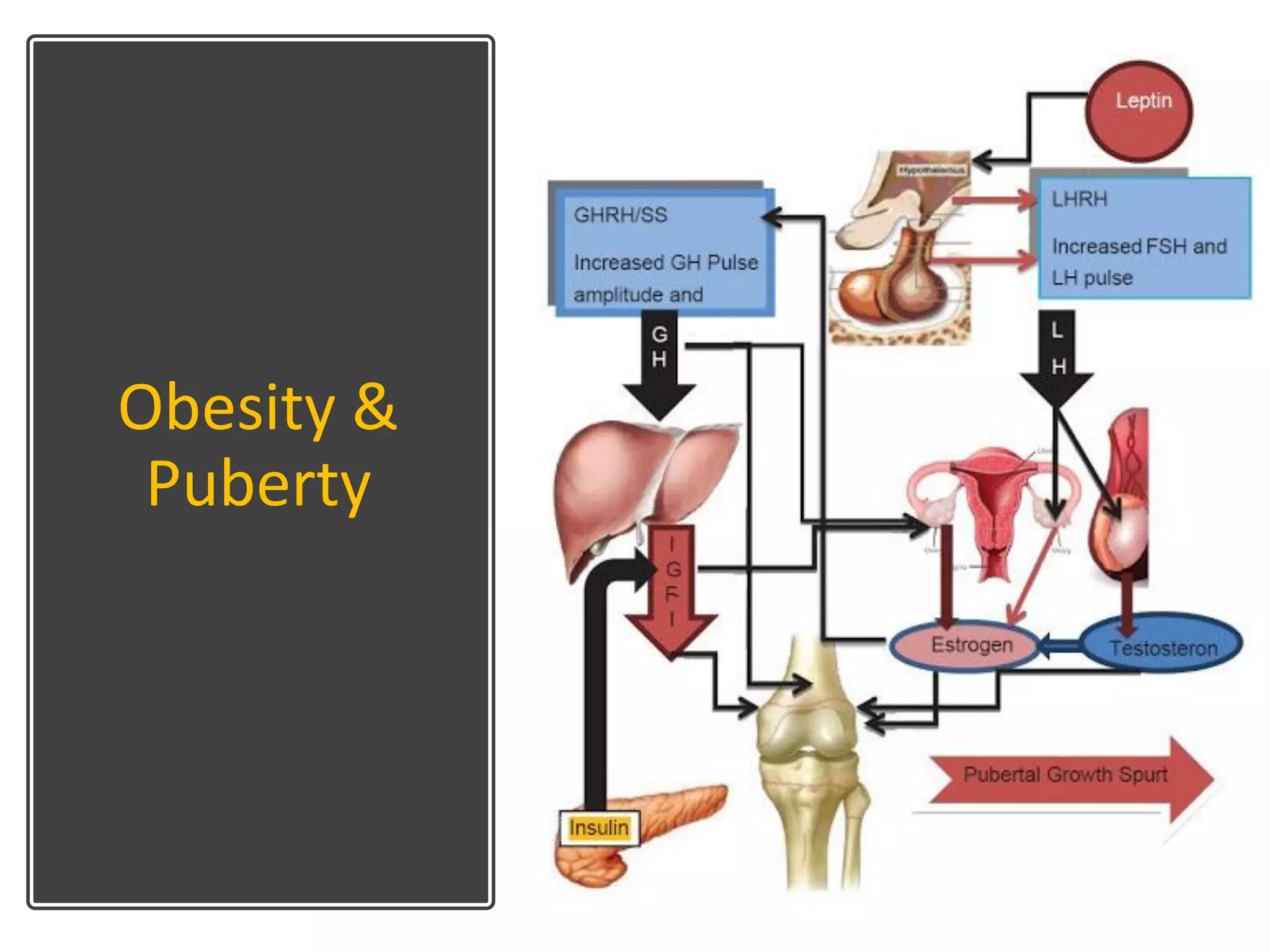 Puberty normal and precocious | PDF