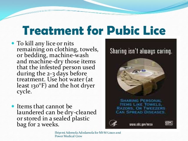 Pubic Lice
