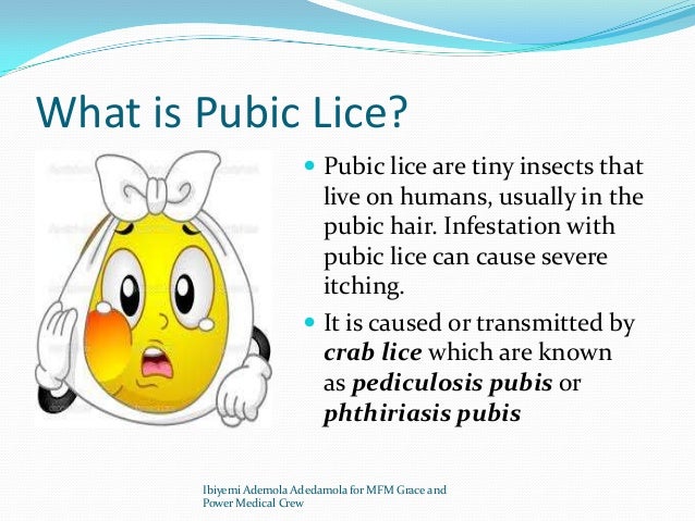 Pubic Lice