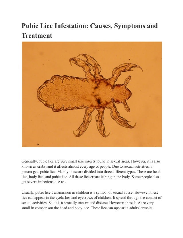 Pubic lice infestation causes, symptoms and treatment