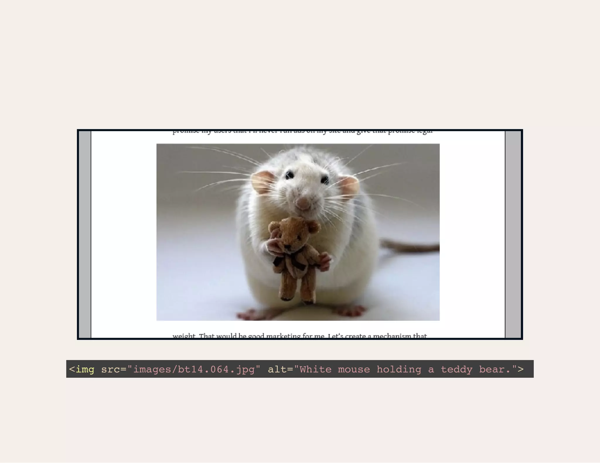 <img src="images/bt14.064.jpg" alt="White mouse holding a teddy bear."> 