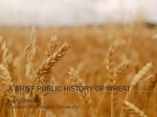 A BRIEF PUBLIC HISTORY OF WHEAT
Larry Cebula
Eastern Washington University
 