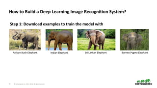 27 © Hortonworks Inc. 2011–2018. All rights reserved
How to Build a Deep Learning Image Recognition System?
African Bush E...