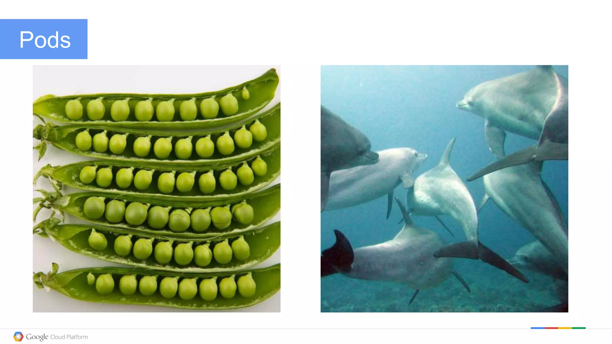 @kitmerker
Pods
 