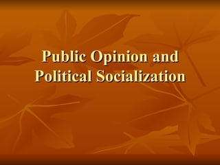 Public Opinion and Political Socialization 