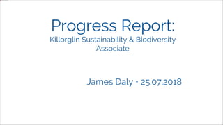 Progress Report:
Killorglin Sustainability & Biodiversity
Associate
James Daly • 25.07.2018
 