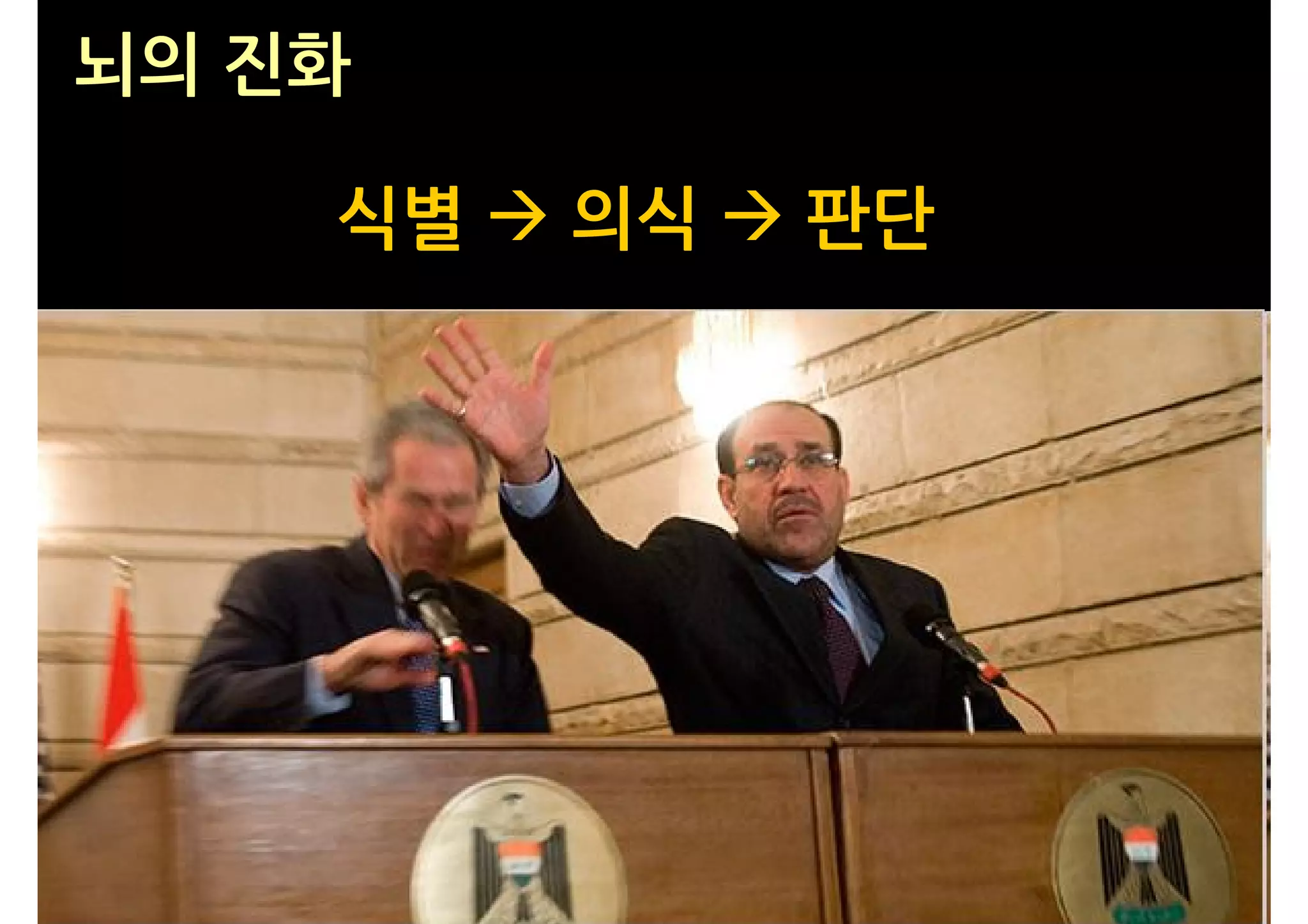 뇌의 진화

    식별  의식  판단
 
