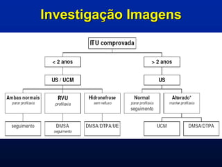 Investigação Imagens
 