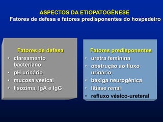 Fatores de defesa
• clareamento
bacteriano
• pH urinário
• mucosa vesical
• lisozima, IgA e IgG
Fatores predisponentes
• uretra feminina
• obstrução ao fluxo
urinário
• bexiga neurogênica
• litíase renal
• refluxo vésico-ureteral
ASPECTOS DA ETIOPATOGÊNESE
Fatores de defesa e fatores predisponentes do hospedeiro
 
