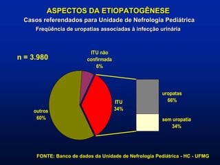 outros
60%
ITU não
confirmada
6%
sem uropatia
34%
uropatas
66%ITU
34%
ASPECTOS DA ETIOPATOGÊNESE
Casos referendados para Unidade de Nefrologia Pediátrica
Freqüência de uropatias associadas à infecção urinária
FONTE: Banco de dados da Unidade de Nefrologia Pediátrica - HC - UFMG
n = 3.980
 