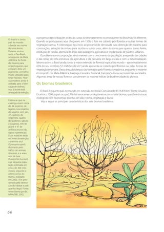 o progresso das civilizações se deu às custas do desmatamento inconseqüente. No Brasil não foi diferente.
O Brasil é o único
país do mundo             Quando os portugueses aqui chegaram, em 1500, o País era coberto por florestas e outras formas de
a herdar seu nome         vegetação nativas. A colonização deu início ao processo de derrubada para obtenção de madeira para
de uma árvore.            construções, extração de tintura para tecidos e outros usos, além do corte para queima como lenha,
Durante muitos            produção de carvão, abertura de áreas para pastagens, agricultura e implantação de núcleos urbanos.
anos, o Pau-Brasil,
                              O problema tomou proporções ainda maiores com o crescimento da população, a expansão das cidades
uma árvore da Mata
Atlântica, foi fonte      e das obras de infra-estrutura, da agricultura e da pecuária em larga escala e com a industrialização.
de riqueza para           Mesmo assim, o Brasil ainda possui a maior extensão de floresta tropical do mundo – aproximadamente
os portugueses, que       65% do seu território (5,5 milhões de km2) ainda apresenta-se coberto por florestas ou pelas formas de
extraíam dela um          vegetação originária. Dessa área, dois terços são formados pela Floresta Amazônica, enquanto o restante
pigmento vermelho
                          é composto por Mata Atlântica, Caatinga, Cerrados, Pantanal, Campos Sulinos e ecossistemas associados.
muito utilizado para
tingir tecidos. Hoje      Algumas áreas de nossas florestas concentram os maiores índices de biodiversidade do planeta.
sua madeira ainda é
utilizada para a fabri-   Os biomas brasileiros
cação de violinos,
mas a árvore está
                              O Brasil é o quinto país no mundo em extensão territorial. Com área de 8.514.876 km2 (fonte: Anuário
ameaçada de extinção.
                          Estatístico 2000), o país ocupa 5,7% das terras emersas do planeta e possui sete biomas, que são estruturas
                          ecológicas com fisionomias distintas de solo e clima, vegetação e fauna.
Estima-se que na
                              Veja a seguir as principais características dos sete biomas brasileiros:
caatinga vivem cerca
de 44 espécies de
lagartos, nove espécies
de lagartos sem pés,
47 espécies de
serpentes, quatro
de quelônios (jabutis
e cágados), três de
jacaré e 47 de
anfíbios anuros (rãs,
sapos e pererecas).
Duas espécies estão
no limite da extinção:
a ararinha azul
(Cyanopsita spixii),
dizimada pelo
tráfico de animais
silvestres, e a arara
azul de Lear
(Anodorhinchus leari),
cuja pequena popu-
lação, estimada em
cerca de 400 indi-
víduos, segundo o
último censo do
Ibama, realizado
em 2002, vive pres-
sionada pela destrui-
ção do hábitat e pela
apanha ilegal. Fonte:
www.ibama.gov.br,
MMA/SBF, 2002.




66
 