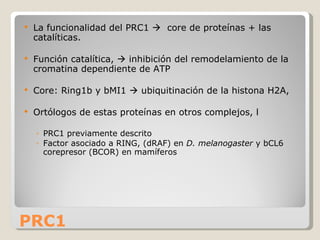 PRC1 La funcionalidad del PRC1     core de proteínas + las catalíticas. Función catalítica,    inhibición del remodelamiento de la cromatina dependiente de ATP Core: Ring1b y bMI1    ubiquitinación de la histona H2A,  Ortólogos de estas proteínas en otros complejos, l PRC1 previamente descrito  Factor asociado a RING, (dRAF) en  D. melanogaster  y bCL6 corepresor (BCOR) en mamíferos  