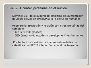 PRC2    cuatro proteínas en el núcleo Dominio SET de la subunidad catalítica del aumentador de Zeste (e(Z)) en  Drosophila  o  o eZH2 en humanos Requiere la asociación y relación con otras proteínas del complejo  suZ12 y ESC (mosca)  EED (embryonic ectoderm development) en humanos Por tanto existe evidencia que las subunidades no catalíticas del PRC 2 interactúan con el nucleosoma 