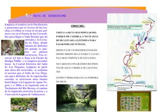 Empieza el sendero en la Piscifactoría
y pasaremos por el Arroyo de las tru-
chas, a 3,10km se cruza el rio por pri-
mera vez en el Puente de los Caracoli-
llos para llegar a Vado Rosales que da
entrada a la Cerra-
da de Elías, donde
además de disfrutar
del paisaje se pue-
den ver plantas
carnívoras. Tras re-
correr 4,2 km se llega a la Fuente de
Huelga Nidillo y se empieza ascender
hasta la Central Eléctrica del Salto
de Los Órganos, (empieza la parte
más dura del recorrido) se continua
el ascenso por el Salto de Los Órga-
nos para disfrutar de la espectacular
cascada, se atraviesan unos túneles
hasta llegar a la Laguna de Aguas Ne-
gras y a 300m a la izquierda está el
Nacimiento del Río Borosa, el camino
de la izquierda atraviesa la presa y a
1 km está la Laguna de Valdeazores.
CONSEJOS:
VISITA LA RUTA MÁS POPULAR DEL
PARQUE DE CAZORLA, Y NO TE OLVI-
DE DE LLEVAR LA LINTERNA PARA
PASAR POR LOS TÚNELES.
DISFRUTA DE UN MAGNÍFICO PAISAJE
DONDE OBSERVAR LA FLORA Y LA FAU-
NA CARACTERÍSTICA DE ESTA ZONA.
NO CARGUES CON GRANDES RECIPIEN-
TES DE AGUA Y BEBELA DE LAS FUEN-
TES
OTOÑO Y PRIMAVERA ES LA TEMPORA-
DA IDEAL
RUTA DE SENDERISMO
 