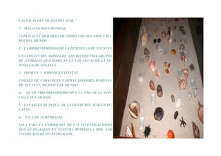 LAS SALAS DEL MUSEO DEL MAR

1.- MALACOLOGIA MUNDIAL

CONCHAS Y CARACOLES DE TODOS LOS OCEANOS Y MA-
RES DEL MUNDO

2.– LA BIODEVIERSIDAD DE LA PENINSULA DE YUCATAN

UNA COLECCIÓN AMPLIA DE LOS DIFERENTES GRUPOS
DE ANIMALES QUE HABITAN EN LAS AGUAS DE LA PE-
NINSULA DE YUCATAN

3.- FOSILES Y ESPECIES EXTINTAS

FOSILES DE CARACOLES Y OTRAS ESPECIES MARINAS-
DE YUCATAN, MEXICO Y EL MUNDO.

4.- EL MUNDO PRECOLOMBINO Y EL USO DE LA CON-
CHA Y EL CARACOL

5.- LAS ARTES DE PESCA DE LA GENTE DEL MAR EN YU-
CATAN.

6.- SALA DE TEMPORALES

SALA PARA LA EXHIBICION DE LAS INVESTIGACIONES
QUE SE REALIZAN EN NUESTRA PENINSULA POR LOS
INSTITUTOS DE INVESTIGACION .
 