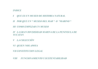 INDICE

I   QUE ES UN MUSEO DE HISTORIA NATURAL

II POR QUE UN “ MUSEO DEL MAR “ O “MARINO “

III COMO EMPEZAR UN MUSEO

IV LA GRAN DIVERSIDAD MARINA DE LA PENINSULA DE
YUCATAN

V   LA COLECCIÓN

VI QUIEN NOS APOYA

VII CONSTITUCION LEGAL


VIII   FUNCIONAMIENTO Y SUSTENTABILIDAD
 