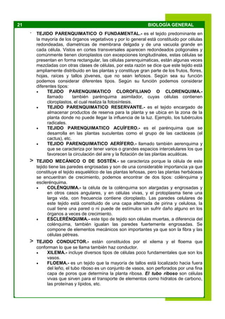 21 BIOLOGÍA GENERAL
· TEJIDO PARENQUIMATICO O FUNDAMENTAL.- es el tejido predominante en
la mayoría de los órganos vegetativos y por lo general está constituido por células
redondeadas, diametricas de membrana delgada y de una vacuola grande en
cada célula. Vistos en cortes transversales aparecen redondeados poligonales y
comúnmente tienen cloroplastos con excepciones longitudinales, estas células se
presentan en forma rectangular, las células parenquimaticas, están algunas veces
mezcladas con otras clases de células, por esta razón se dice que este tejido está
ampliamente distribuido en las plantas y constituye gran parte de los frutos, flores,
hojas, raíces y tallos jóvenes, que no sean leñosos. Según sea su función
podemos considerar diferentes tipos. Según su función podemos considerar
diferentes tipos:
 TEJIDO PARENQUIMATICO CLOROFILIANO O CLORENQUIMA.-
llamado también parénquima asimilador, cuyas células contienen
cloroplastos, el cual realiza la fotosíntesis.
 TEJIDO PARENQUIMATICO RESERVANTE.- es el tejido encargado de
almacenar productos de reserva para la planta y se ubica en la zona de la
planta donde no puede llegar la influencia de la luz. Ejemplo, los tubérculos
radicales.
 TEJIDO PARENQUIMATICO ACUÍFERO.- es el parénquima que se
desarrolla en las plantas suculentas como el grupo de las cactáceas (el
cactus), etc.
 TEJIDO PARENQUIMATICO AERÍFERO.- llamado también aerenquima y
que se caracteriza por tener varios o grandes espacios intercelulares los que
favorecen la circulación del aire y la flotación de las plantas acuáticas.
> TEJIDO MECÁNICO O DE SOSTÉN.- se caracteriza porque la célula de este
tejido tiene las paredes engrosadas y son de una considerable importancia ya que
constituye el tejido esquelético de las plantas leñosas, pero las plantas herbáceas
se encuentran de crecimiento, podemos encontrar de dos tipos: colénquima y
esclerénquima.
 COLÉNQUIMA.- la célula de la colénquima son alargadas y engrosadas y
en otros casos angulares, y en células vivas, y el protoplasma tiene una
larga vida, con frecuencia contiene cloroplasto. Las paredes celulares de
este tejido está constituido de una capa alternada de pirina y celulosa, la
cual tiene una pared o ni puede de estímulos sin sufrir daño alguno en los
órganos a veces de crecimiento.
 ESCLERÉNQUIMA.- este tipo de tejido son células muertas, a diferencia del
colénquima, también igualan las paredes fuertemente engrosadas. Se
compone de elementos mecánicos son importantes ya que son la fibra y las
células pétreas.
> TEJIDO CONDUCTOR.- están constituidos por el xilema y el floema que
conforman lo que se llama también haz conductor.
 XILEMA.- incluye diversos tipos de células poco fundamentales que son los
vasos.
 FLOEMA.- es un tejido que la mayoría de tallos está localizado hacia fuera
del leño, el tubo riboso es un conjunto de vasos, son perforados por una fina
capa de poros que determina la planta ribosa. El tubo riboso son células
vivas que sirven para el transporte de elementos como hidratos de carbono,
las proteínas y lípidos, etc.
 