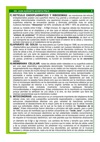 8DR. JUAN AUGUSTO ACOSTA POLO
F) RETÍCULO ENDOPLASMATICO Y RIBOSOMAS: las membranas del retículo
endoplasmatico poseen una superficie interna muy grande y constituyen un sistema de
canales interconectadas mostrando una apariencia sinuosa y rugosa cuando en sus
superficies externas se encuentran densas y diminutas partículas ricas en acido
nucleícos llamados “ribosomas” (el 60% constituido de ARN + 40% de proteínas). Se
calcula su medida entre 0.02µ – 0.06µ (micras). En algunas células las ribosomas se
encuentran libre en el citoplasma y en ese caso el retículo endoplasmatico tiene una
apariencia suave y lisa, varios ribosomas constituyen los poliribosomas y cuya función es
“síntesis de proteínas”. El retículo endoplasmatico se considera que cumple la función
a parte de la síntesis de proteínas, también el transporte intercelular, es decir en el
que transporta las sustancias desde el nucleó hacia el exterior de la célula y viceversa,
también interviene en el metabolismo de los glúcidos.
G) APARATO DE GOLGI: fue descubierto por Camilo Golgi en 1898, es una estructura
citoplasmática que presenta varias formas y pueden ser cuerpos lobulados en forma de
gotas cerca al núcleo y otras veces como una red de filamentos continuos. Su forma
varia de célula a otra, al microscopio electrónico presenta una delicada estructura y está
constituido por una serie de espacios unidos íntimamente por membranas y por un
número de variables de vacuolas o vesículas. Su composición química se le considera
de grasas, proteínas y carbohidratos, su función se considera que es de secreción
celular.
H) MEMBRANA CELULAR: todas las células están rodeadas en su superficie externa
por una capa plasmática especializada denominada “membrana celular” la cual es
exageradamente muy delgada y fino que no es visible con los mejores microscopios por
esta razón a través de mucho tiempo los biólogos celulares negaron la existencia de esta
estructura. Esta tiene la capacidad selectiva considerándose como semipermeable o
permeable a ciertas sustancias; pero a a otras no, los especialistas hicieron una
experiencia con rojo fenol y observaron sus distribución rápidamente por todo el
citoplasma pero no pasaba hacia afuera sino que era retenido por la membrana celular.
Con el microscopio electrónico se ha demostrado que es una membrana elástica ya que
tiene la capacidad de retornar a su forma original, también se ha demostrado que
frecuentemente esta ondulada mostrando numerosos repliegues llamados
microvellocidades e imaginaciones. Estas ondulaciones de la membrana es importante
porque permiten la adhesión de una célula a la otra, se dice también que tiene las
mismas características que la membrana nuclear.
I) MITOCONDRIAS: esta estructura es un componente importante del citoplasma de las
células vivas, son unos cuerpecillos sumamente especializados y organizados, estas
estructuras citoplasmáticas efectúan una gran variedad de reacciones químicas,
considerando el abastecimiento de la mayor parte de la energía que la célula necesita
para sus actividades vitales, por la que se ha dado el nombre de “dynamos de la
célula”. Estas mitocondrias fueron descritas a principios del siglo pasado, pero a partir
de 1940 se puso de manifiesto que se teñían únicamente con “verde Jano”. A partir de
este hecho con el microscopio electrónico se han adelantado notables conocimientos.
Son de forma esférica de barra, escasamente visibles con el microscopio común, por ello
se requiere el microscopio electrónico, son más grandes que los ribosomas alcanzando
un diámetro de 0.5µ a 3µ (micras). Los cambios de forma y tamaño que sufren las
mitocondrias dependen del estado físico y químico que le rodea, del tipo de célula, edad
y de su propia actividad química. Se presentan muy numerosos en el citoplasma de
células metabólicamente activa siendo muy abundantes, por ejemplo en el musculo
cardiaco y células excretoras, cada una de las mitocondrias tanto en las células animales
 