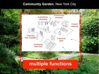 Community Garden, New York City




   collaborative housing
   multiple functions             .
 