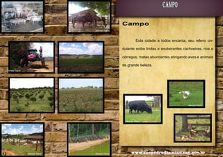 campo
Campo
Alencar Flório

Esta cidade a todos encanta, seu relevo ondulante exibe lindas e exuberantes cachoeiras, rios e
córregos, matas abundantes abrigando aves e animais
de grande beleza.
Alencar Flório

Alencar Flório

Alencar Flório

32

Alencar Flório

Alencar Flório

www.saopedrodauniao.mg.gov.br

33

 