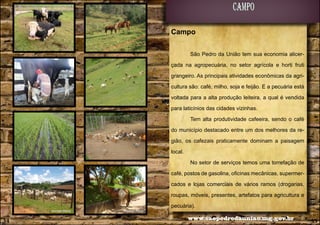 campo
Campo
São Pedro da União tem sua economia alicerçada na agropecuária, no setor agrícola e horti fruti
grangeiro. As principais atividades econômicas da agricultura são: café, milho, soja e feijão. E a pecuária está
voltada para a alta produção leiteira, a qual é vendida
para laticínios das cidades vizinhas.
Tem alta produtividade cafeeira, sendo o café
do município destacado entre um dos melhores da região, os cafezais praticamente dominam a paisagem
local.
No setor de serviços temos uma torrefação de
café, postos de gasolina, oficinas mecânicas, supermercados e lojas comerciais de vários ramos (drogarias,
roupas, móveis, presentes, artefatos para agricultura e
Alencar Flório

34

Alencar Flório

pecuária).
www.saopedrodauniao.mg.gov.br

35

 