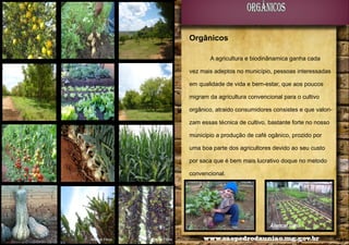orgânicos
Orgânicos
A agricultura e biodinânamica ganha cada
vez mais adeptos no município, pessoas interessadas
em qualidade de vida e bem-estar, que aos poucos
migram da agricultura convencional para o cultivo
orgânico, atraido consumidores consistes e que valorizam essas técnica de cultivo, bastante forte no nosso
municipio a produção de café ogânico, prozido por
uma boa parte dos agricultores devido ao seu custo
por saca que é bem mais lucrativo doque no metodo
convencional.

Alencar Flório

36

Alencar Flório

Alencar Flório

www.saopedrodauniao.mg.gov.br

37

 