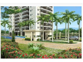 Dora Mello corretora (21) 78834126
 