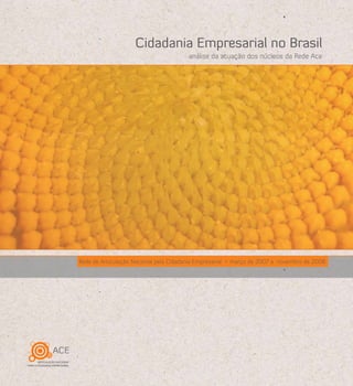Rede de Articulação Nacional pela Cidadania Empresarial março de 2007 a novembro de 2008
análise da atuação dos núcleos da Rede Ace
Cidadania Empresarial no Brasil
 