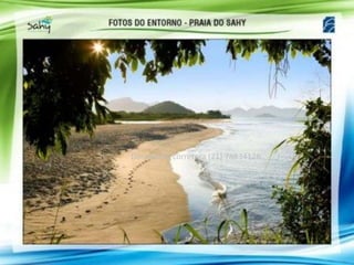 Dora Mello corretora (21) 78834126
 