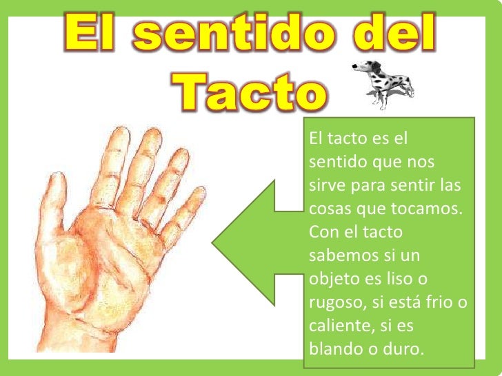 LOS 5 SENTIDOS POR PRISCYLA VERA