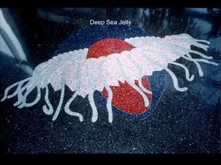 Deep Sea Jelly
 