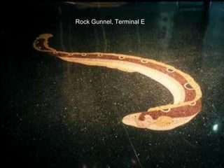 Rock Gunnel, Terminal E
 