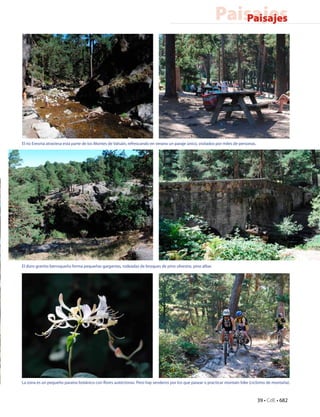 Paisajes
                                                                                                               Paisajes




El río Eresma atraviesa esta parte de los Montes de Valsaín, refrescando en verano un paraje único, visitados por miles de personas.




El duro granito berroqueño forma pequeñas gargantas, rodeadas de bosques de pino silvestre, pino albar.




La zona es un pequeño paraíso botánico con flores autóctonas. Pero hay senderos por los que pasear o practicar montain bike (ciclismo de montaña).



                                                                                                                                       39 • CdE • 682
 