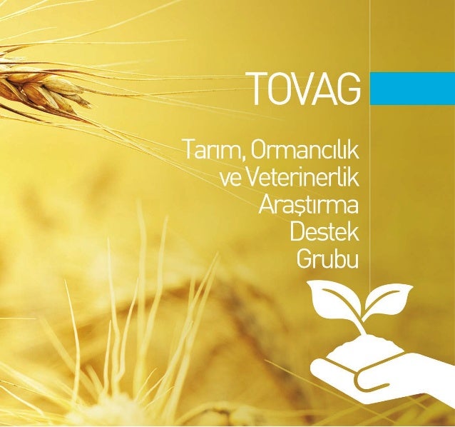 TUBITAK ARDEB Basari Oykuleri slideshare