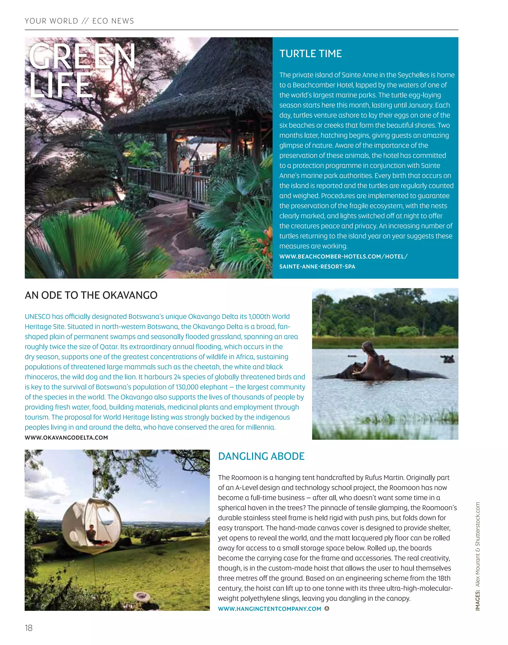 LOCAL COLOUR // YOUR WORLD 
15 
WHITE NIGHTS 
In 2006, one fine night in September, Toronto in Canada kept its eyes open from dusk until the 
early pre-dawn hours. The city buzzed with excitement as Scotiabank Nuit Blanche was unleashed 
on an unsuspecting city, the all-night exploration and celebration of contemporary art keeping 
slumber at bay. Since then, one night a year is dedicated to this multi-location artistic endeavour, 
which sees art grace the streets, parks and all manner of venue across the city. Toronto won’t be 
sleeping this year on 4 October, with the free art event kicking off at 6:53pm and flowing through 
to sunrise. Hundreds of artists are involved in creating more than 125 art projects. Some works 
encourage an intimate encounter with art, others wow with large-scale spectacle. The curated 
projects this year include Between the earth and the sky, the possibility of everything; The Night 
Circus; and Performance Anxiety, but you’ll find surprises around every corner. 
WWW.SCOTIABANKNUITBLANCHE.CA 
TRUFFLE TIME 
The Alba White Truffle Festival kicks off on 11 
October, running every weekend through to 
mid-November, and is the highlight of the white 
truffle season in Italy. The Piedmont region, 
where Alba is located, is considered to produce 
the best white truffles in the world. As such, 
visitors travel from far and wide to take part in 
the White Truffle Festival in Alba’s central square, 
the epicentre of the truffle-globe. The festival 
features not only the tasty fungus, but also arts 
and cultural events and spectacles that revolve 
around the celebration. One of the non-culinary 
highlights is the donkey race, held on the first 
weekend of the festivities. Heralded by a lavish 
medieval procession and theatrical pageantry 
re-enacting key moments of Alba’s history, the 
race is a comedy of errors, with the stubborn 
beasts refusing to run, or cantering off wilfully 
in the wrong direction, their desperate jockeys 
trying to urge them over the finish line. 
WWW.FIERADELTARTUFO.ORG 
IMAGES: Getty Images, Active Event Entertainment, Getty Editorial  Shutterstock.com 
PERISCOPE 
October brings a host of cultural 
celebrations, from symphonies to literature. 
Cultivate your sophisticated side with some 
of this month’s refined events. 
AUSTRALIA: THE SOUND OF ORPHEUS 
This production presented by Orpheus and 
the Australian Festival of Chamber from 3-6 
October sees one of the world’s finest string 
quartets – the prestigious Goldner String 
Quartet – in the exquisite tropical setting of 
Orpheus, a secluded island hideaway set in 
the heart of the Great Barrier Reef. 
WWW.AFCM.COM.AU 
ENGLAND: BFI LONDON FILM FESTIVAL 
The London Film Festival is the UK’s largest 
public film event, screening more than 
300 features, documentaries and shorts 
from almost 50 countries. The festival 
showcases the best of world cinema to 
champion creativity, originality, vision 
and imagination. 
WWW.BFI.ORG.UK 
FRANCE: ATLANTIQUE JAZZ FESTIVAL 
Jazz brings the tip of Brittany to life from 
2-19 October, with some 30 concerts in 
12 towns from Langonnet to Guilvinec. 
Expect creativity throughout a month full 
of experimental sounds, culminating in a 
grand finale in Brest. 
WWW.PENN-AR-JAZZ.COM 
GERMANY: FRANKFURT BOOK FAIR 
The Frankfurt Book Fair, held on 8-12 
October, is the largest international book 
fair in the world, receiving visitors and book 
dealers from over 100 countries. Johannes 
Gutenberg invented the printing press just 
outside Frankfurt and the first fair was held 
by local publishers shortly afterwards. 
WWW.FRANKFURT-BOOK-FAIR.COM/EN/FBF 
TURKEY: ANTALYA GOLDEN ORANGE 
FILM FESTIVAL 
The Golden Orange Film Festival, running 
from 8-14 October begins with a bang as a 
parade goes through the streets of Antalya. 
This festival is a great introduction to some 
of the finest performers in the Turkish 
movie industry. 
WWW.ANTALYA.ORG 
Artist Ai Weiwei mounts a labyrinth of 3,144 
interconnected bicycles in his project Forever 
Bicycles at Scotiabank Nuit Blanche 2013 
in Toronto, Canada. 
 