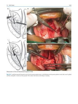 Publication- acknowledgement-AOMSI_Book- 1698.pdf