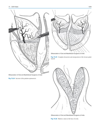 Publication- acknowledgement-AOMSI_Book- 1698.pdf