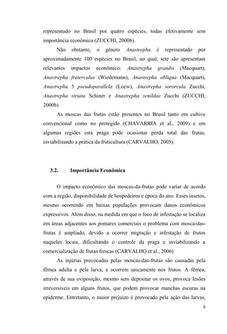 representado no Brasil por quatro espécies, todas efetivamente sem
importância econômica (ZUCCHI, 2000b).
Não obstante, o gênero Anastrepha é representado por
aproximadamente 100 espécies no Brasil, no qual, sete são apresentam
relevantes impactos econômico: Anastrepha grandis (Macquart),
Anastrepha fraterculus (Wiedemann), Anastrepha obliqua (Macquart),
Anastrepha 5 pseudoparallela (Loew), Anastrepha sororcula Zucchi,
Anastrepha striata Schiner e Anastrepha zenildae Zucchi (ZUCCHI,
2000b)
As moscas das frutas estão presentes no Brasil tanto em cultivo
convencional como no protegido (CHAVARRIA et al., 2009) e em
algumas regiões esta praga pode ocasionar perda total das frutas,
inviabilizando a prática da fruticultura (CARVALHO, 2005).
3.2. Importância Econômica
O impacto econômico das moscas-da-frutas pode variar de acordo
com a região, disponibilidade de hospedeiros e época do ano. Esses insetos,
mesmo ocorrendo em baixas populações provocam danos econômicos
expressivos. Além disso, na medida em que o foco de infestação se localiza
em áreas adjacentes aos pomares comerciais o problema com mosca-das-
frutas é ampliado, devido a ocorrer migração e infestação de frutos
naqueles locais, dificultando o controle da praga e inviabilizando a
comercialização de frutas frescas (CARVALHO et al., 2006)
As injúrias provocadas pelas moscas-das-frutas são causadas pela
fêmea adulta e pela larva, e ocorrem unicamente nos frutos. A fêmea,
através de sua oviposição, mesmo sem depositar os ovos, provoca lesões
irreversíveis em alguns frutos, que podem provocar manchas escuras na
epiderme. Entretanto, o maior prejuízo é provocado pela ação das larvas,
 