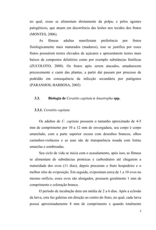 no qual, essas se alimentam diretamente da polpa; e pelos agentes
patogênicos, que atuam em decorrência das lesões nos tecidos dos frutos
(MONTES, 2006).
As fêmeas adultas manifestam preferência por frutos
fisiologicamente mais maturados (maduros), isso se justifica por esses
frutos possuírem teores elevados de açúcares e apresentarem teores mais
baixos de compostos deletérios como por exemplo substâncias fenólicas
(ZUCOLOTO, 2000). Os frutos após serem atacados, amadurecem
precocemente e caem das plantas, a partir daí passam por processo de
podridão em consequência da infecção secundária por patógenos
(PARANHOS; BARBOSA, 2005)
3.3. Biologia de Ceratitis capitata e Anastrepha spp.
3.3.1. Ceratitis capitata
Os adultos de C. capitata possuem o tamanho aproximado de 4-5
mm de comprimento por 10 a 12 mm de envergadura, seu corpo é corpo
amarelado, com a parte superior escura com desenhos brancos, olhos
castanhos-violáceos e as asas são de transparência rosada com listras
amarelas e sombreadas.
Seu ciclo de vida se inicia com o acasalamento, após isso, as fêmeas
se alimentam de substâncias proteicas e carboidratos até chegarem a
maturidade dos ovos (11 dias), depois procuram o fruto hospedeiro e o
melhor sítio de oviposição. Em seguida, ovipositam cerca de 1 a 10 ovos no
mesmo orifício, esses ovos são alongados, possuem geralmente 1 mm de
comprimento e coloração branca.
O período de incubação dura em média de 2 a 6 dias. Após a eclosão
da larva, esta faz galerias em direção ao centro do fruto, no qual, cada larva
possui aproximadamente 8 mm de comprimento e quando totalmente
 