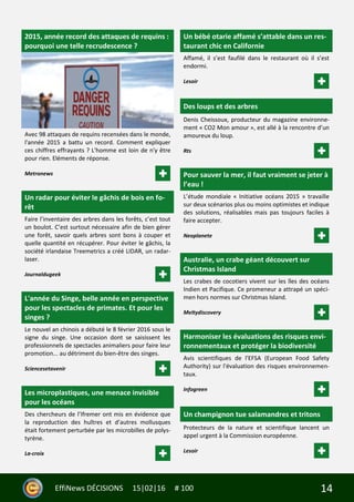 14EffiNews DÉCISIONS 15|02|16 # 100
2015, année record des attaques de requins :
pourquoi une telle recrudescence ?
Avec 98 attaques de requins recensées dans le monde,
l'année 2015 a battu un record. Comment expliquer
ces chiffres effrayants ? L'homme est loin de n'y être
pour rien. Eléments de réponse.
Metronews
Un radar pour éviter le gâchis de bois en fo-
rêt
Faire l’inventaire des arbres dans les forêts, c’est tout
un boulot. C’est surtout nécessaire afin de bien gérer
une forêt, savoir quels arbres sont bons à couper et
quelle quantité en récupérer. Pour éviter le gâchis, la
société irlandaise Treemetrics a créé LIDAR, un radar-
laser.
Journaldugeek
L'année du Singe, belle année en perspective
pour les spectacles de primates. Et pour les
singes ?
Le nouvel an chinois a débuté le 8 février 2016 sous le
signe du singe. Une occasion dont se saisissent les
professionnels de spectacles animaliers pour faire leur
promotion... au détriment du bien-être des singes.
Sciencesetavenir
Les microplastiques, une menace invisible
pour les océans
Des chercheurs de l’Ifremer ont mis en évidence que
la reproduction des huîtres et d’autres mollusques
était fortement perturbée par les microbilles de polys-
tyrène.
La-croix
Un bébé otarie affamé s’attable dans un res-
taurant chic en Californie
Affamé, il s’est faufilé dans le restaurant où il s’est
endormi.
Lesoir
Des loups et des arbres
Denis Cheissoux, producteur du magazine environne-
ment « CO2 Mon amour », est allé à la rencontre d’un
amoureux du loup.
Rts
Pour sauver la mer, il faut vraiment se jeter à
l’eau !
L’étude mondiale « Initiative océans 2015 » travaille
sur deux scénarios plus ou moins optimistes et indique
des solutions, réalisables mais pas toujours faciles à
faire accepter.
Neoplanete
Australie, un crabe géant découvert sur
Christmas Island
Les crabes de cocotiers vivent sur les îles des océans
Indien et Pacifique. Ce promeneur a attrapé un spéci-
men hors normes sur Christmas Island.
Meltydiscovery
Harmoniser les évaluations des risques envi-
ronnementaux et protéger la biodiversité
Avis scientifiques de l'EFSA (European Food Safety
Authority) sur l'évaluation des risques environnemen-
taux.
Infogreen
Un champignon tue salamandres et tritons
Protecteurs de la nature et scientifique lancent un
appel urgent à la Commission européenne.
Lesoir
 